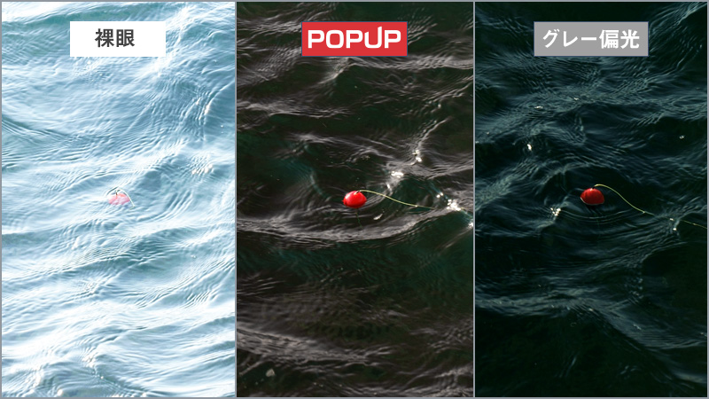 ウキが見やすい偏光レンズ